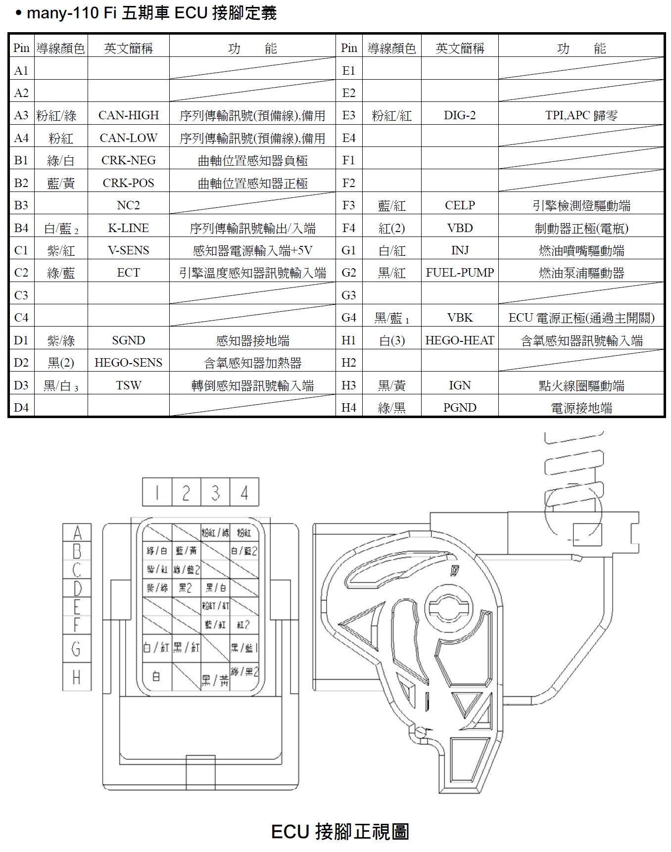 ECU pin assignment